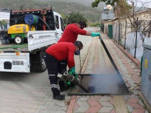 Sineksiz Yaz İçin Yoğun Mücadele