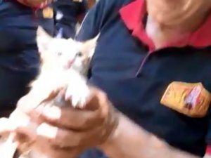 Kilis’te Su Kuyusuna Düşen Kedi Kurtarıldı