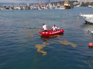 Sinop’ta Deniz Yüzeyinde Oluşan Kirlilik Temizleniyor