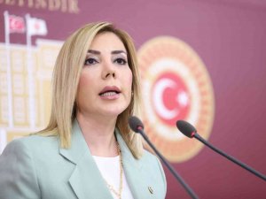 Milletvekili Gökcan: “Muğla Sahipsiz Değildir”