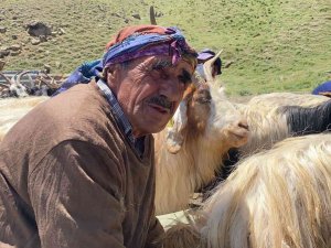 Hakkari’de 2 Bin Küçükbaş Hayvan Dağıtıldı