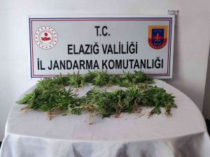 Elazığ’da Uyuşturucu Operasyonu
