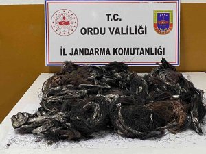 Ordu’da Telefon Kablosu Hırsızları Tutuklandı