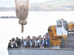 Denizi Olmayan Kayseri’de 10 Milyon Dolarlık Balık İhracatı