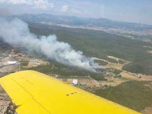 Urla’da Ormanlık Alan Yangını