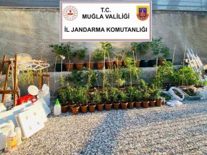 Fethiye’de Lüks Villaya Uyuşturucu Baskını
