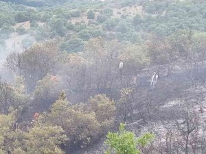 Pazaryeri İlçesinde Orman Yangını