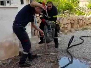 Kırıkkale’de 2 Metrelik Yılan Paniği