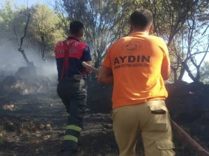 Koçarlı’da Zeytinlik Alanda Yangın