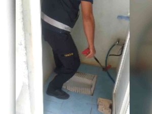 Duvardaki Su Borusu Deliğinde Yılan Yakalandı