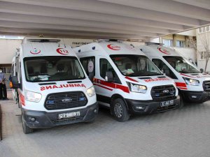 Mezarlığa Çiçek Ekme Konusu Silahlı Kavgaya Dönüştü, Kuzenler Birbirini Vurdu