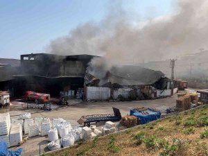 Hatay’da Antrepoda Çıkan Yangın Kısmen Kontrol Altına Alındı
