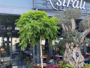 Babaanne Yemekleriyle Gelen Dev Bir Marka