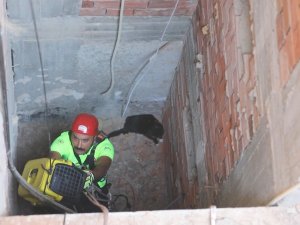 15 Metrelik Apartman Boşluğuna Düşen Kediyi Kurtarma Operasyonu