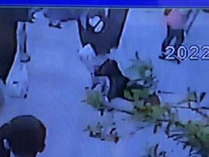 Fatih’te Köpeğe Eziyet Eden Kişiye Linç Girişimi