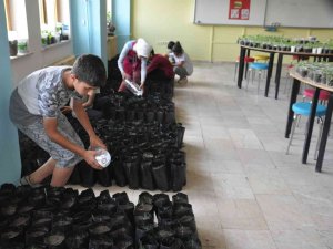 Bulanık’ta ’Bir Tohum Bin Kuşak Projesi’