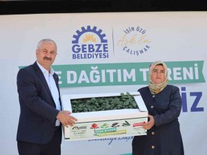 Gebzeli Çiftçilere Fide Desteği