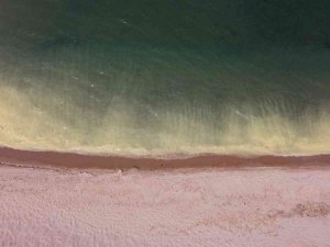 Karadeniz’deki Renk Değişimi ‘Polen’ Kaynaklı