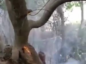 Adıyaman’da Bahçe Yangını Korkuttu