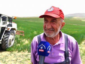 Başkentin Toprakları Sıvı Organik Gübrelerle Daha Verimli