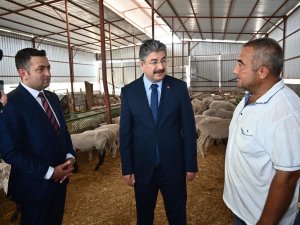 Devlet Desteğiyle 100 Koyunluk Sürü Sahibi Oldu