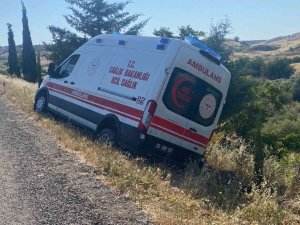 Domuza Çarpmamak İsterken Şarampole Çıktı