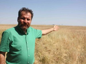 Yangınlar Çiftçinin Geleceğini, Ülkenin Ekonomisini Yok Ediyor