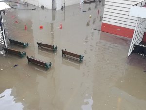 Aydın’da 3 Saat Süren Yağış Hayatı Felç Etti