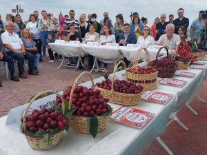 Tekirdağ’da Kiraz Güzellik Yarışması Düzenlendi