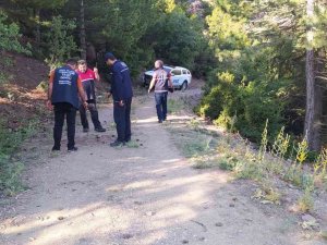 Sırra Kadem Basan Gençler Ormanlık Alanda Aranıyor
