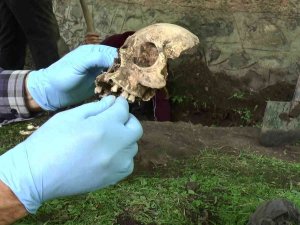 Su Patlağı İçin Yapılan Kazıda Ortaya Çıkan Kemik Parçaları Panik Yaşattı