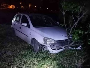 Köpeğe Çarpan Otomobil Bir Evin Bahçesine Savruldu: 1 Yaralı