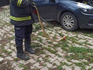 Otomobilin Motoruna Giren Yılanı İtfaiye Çıkardı