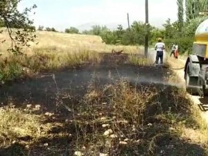 Kayısı Bahçesindeki Yangın Büyümeden Söndürüldü