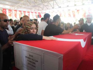 Şehit Ablasından Yürek Dağlayan Feryat: