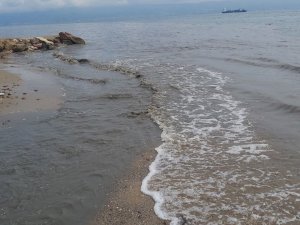 İ̇zmit Körfezi Siyaha Büründü