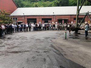 Kozlu’da Yeni Panoda Üretime Başlandı