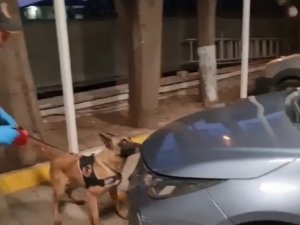Sakarya’da 2 İlçede Uyuşturucu Operasyonu: 5 Gözaltı