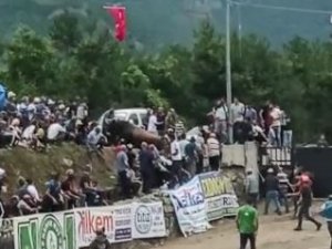 Rakibinden Kaçan Boğa Seyircilerin Bulunduğu Tribüne Daldı