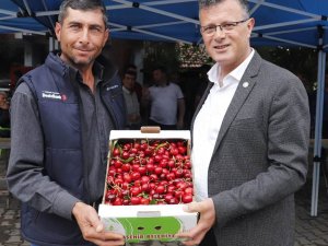 Üzümün Başkentinde Kiraz Festivali