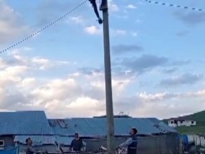 Elektrik Direğinde Mahsur Kalan Kediyi Ekipler Kurtardı