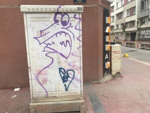 Trafo Ve Direkler Vandalların Hedefi Oluyor