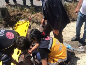 Horasan - Pasinler Karayolunda Trafik Kazası: 2 Yaralı