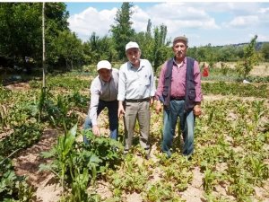 Simav’da Sebze Ve Meyveler Sağanak Yağmur Ve Doludan Zarar Gördü