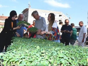 Ata Tohumları, Toprakla Buluşuyor