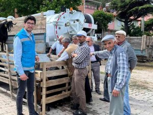 Şaphane Kurbanlık Hayvan Pazarında Denetim