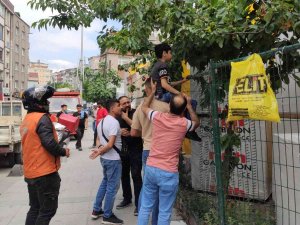 Sultangazi’de Kiraz Ağacından İnerken Kaydı: Çocuğun Eline Demir Çit Saplandı