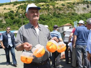 100 Üreticiye 1400 Akdeniz Meyve Sineği Tuzağı Dağıtıldı