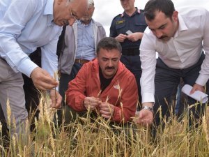 Validen Doğal Afetlere Karşı Çiftçilere Uyarı: "Tarsi̇m Sigortasını Yaptırın"