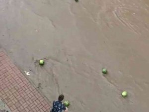 Selde Sürüklenen Karpuzları Vatandaşlar Kurtarmaya Çalıştı